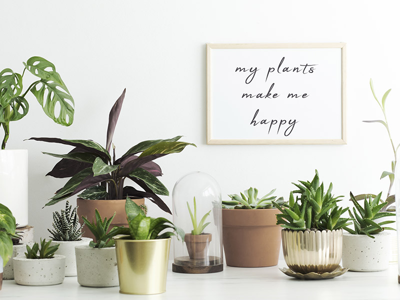 plant names for girls