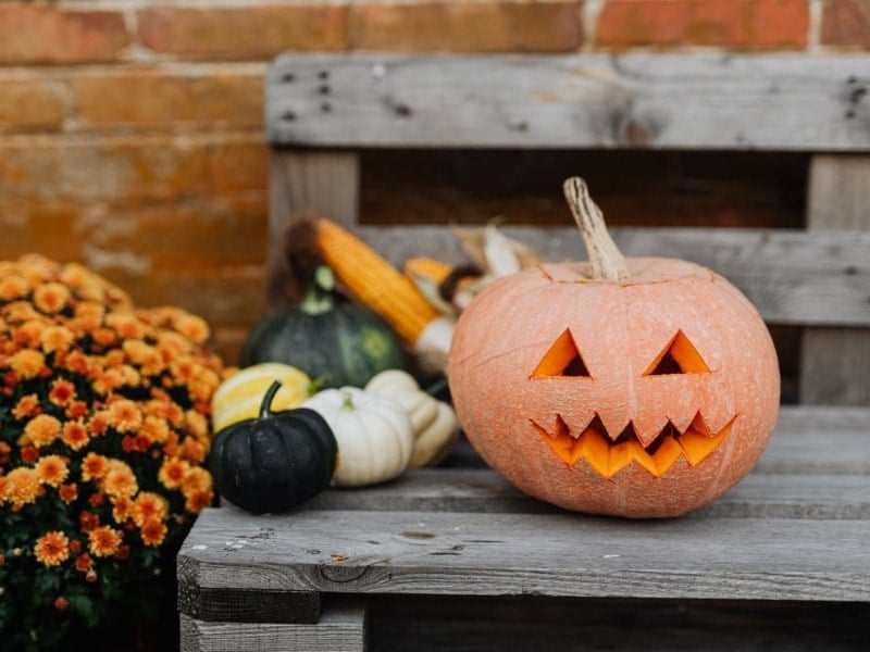 Pumpkin Carving Ideas to Fit Every Aesthetic