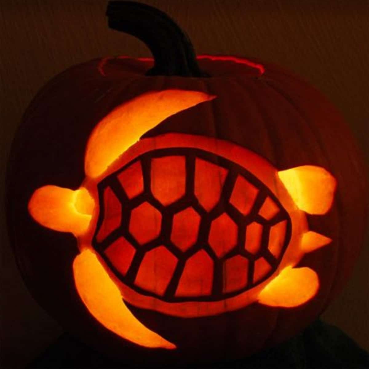 turtle pumpkin carving
