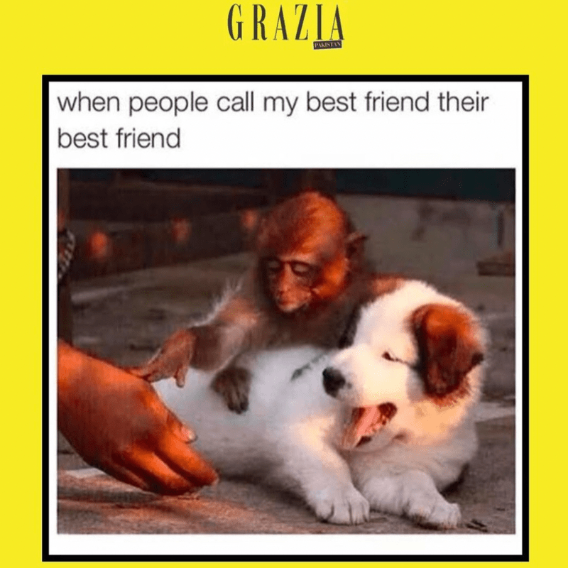 Friendship Meme