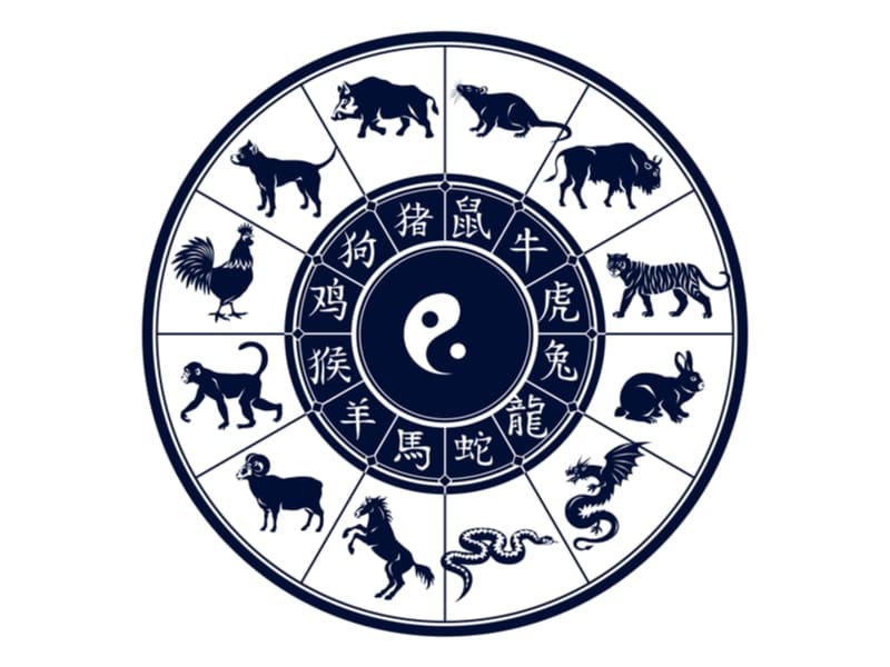 Signs chinese zodiac Chinese Zodiac