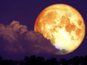 Red Sturgeon Moon